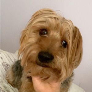 Meet your Posher, Emily